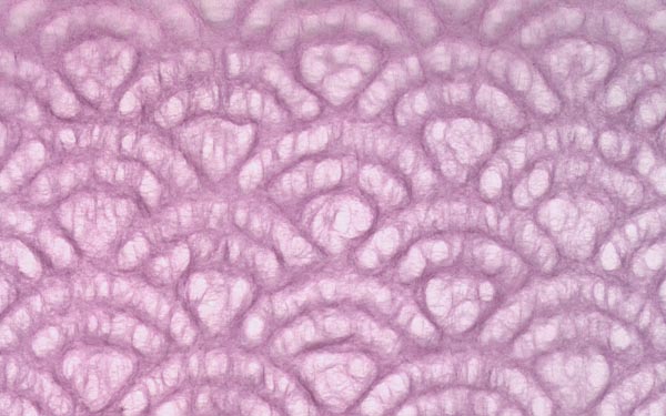 Japanese Lace Ocean Wave 8 COLORS! – Paper Connection