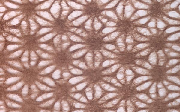 Japanese Lace Asanoha Hemp Leaf 4 COLORS – Paper Connection