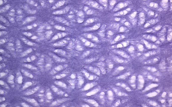 Japanese Lace Asanoha Hemp Leaf 4 COLORS – Paper Connection Japanese Lace Asanoha Hemp Leaf 4 COLORS – Paper Connection