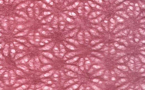 Japanese Lace Asanoha Hemp Leaf 4 COLORS – Paper Connection