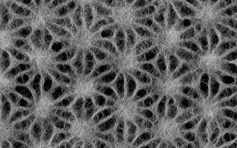 Japanese Lace Asanoha Hemp Leaf   4 COLORS