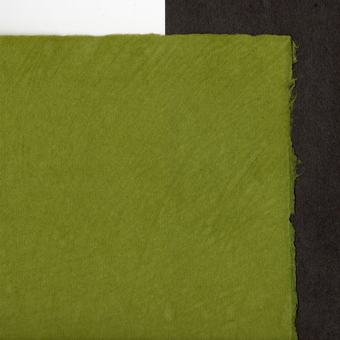 AI-308 Aiko's Color Kozo Spring Green