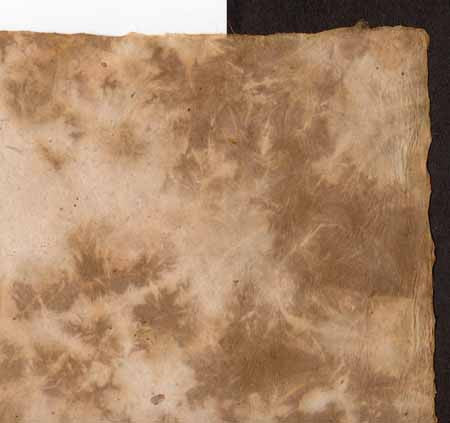 NP-BLG Boka Lokta Gold