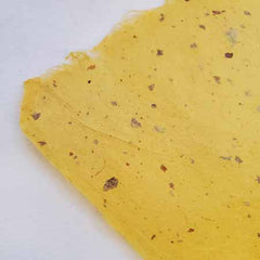 Kasuirishi in colors