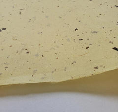 Kasuirishi in colors