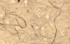 Kawairi Rakusuishi "FLECKED NEST" M-0521