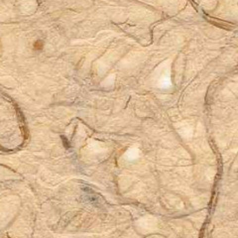 Kawairi Rakusuishi "FLECKED NEST" M-0521