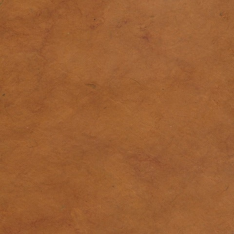 Lokta Amber NP-LA