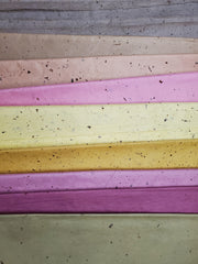 Kasuirishi in colors