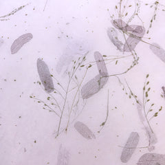 Kozo Gift Wrap Paper with Tamarind Inclusions TGW