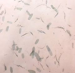 Kozo Gift Wrap Paper with Tamarind Inclusions TGW