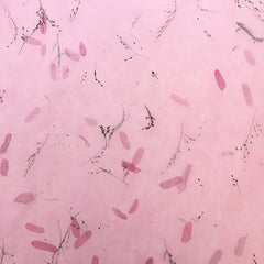 Kozo Gift Wrap Paper with Tamarind Inclusions TGW