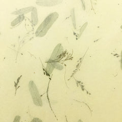 Kozo Gift Wrap Paper with Tamarind Inclusions TGW