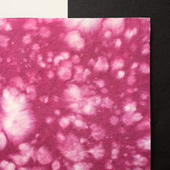 An-Jing Lucy Raspberry CH-LRp