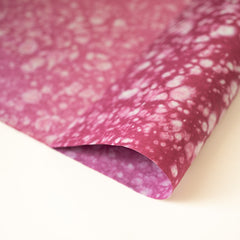 An-Jing Lucy Raspberry CH-LRp