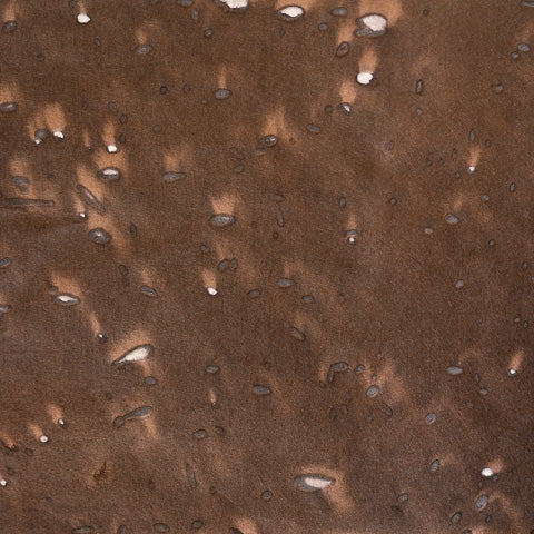 An-Jing Meteor Shower Brown CH-MSBr