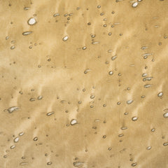 An-Jing Meteor Shower Mustard CH-MSM