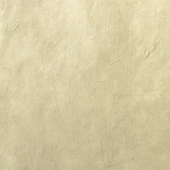 Abacá Handmade Citrus 55gsm IN-BCiG55