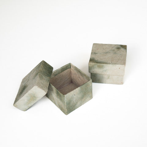 Boka Box Sage NP-BX2S