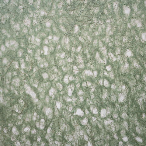 Asarakusuishi Ogura Lace Moss R-M