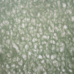 Asarakusuishi Ogura Lace Moss R-M