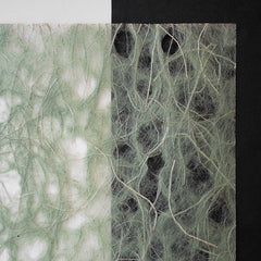 Asarakusuishi Ogura Lace Moss R-M