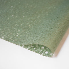 Asarakusuishi Ogura Lace Moss R-M
