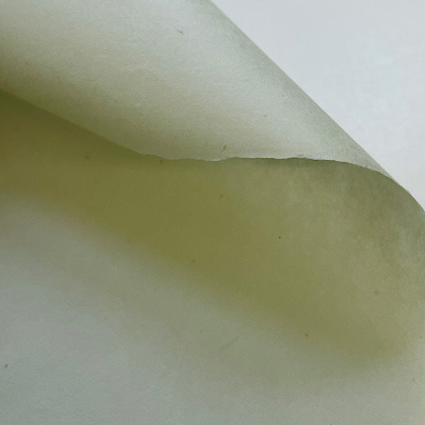 Gampi Kitakata Green-PP-KG – Paper Connection