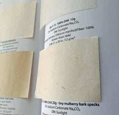 Conservation and Repair Paper Swatch Portfolio